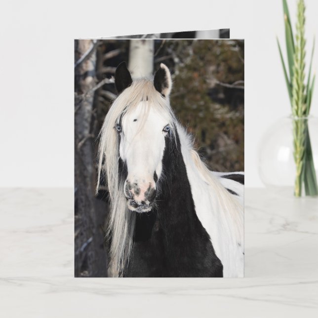 Gypsy Looks Out - Greeting Card (Front)