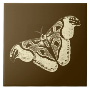 Gypsy moth, chocolate brown and beige tile