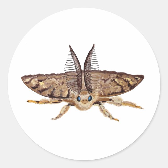 Gypsy moth, Lymantria dispar dispar, flying Classic Round Sticker (Front)