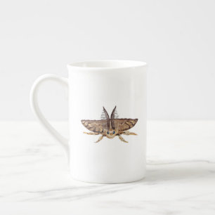 Gypsy moth, Lymantria dispar dispar Zoological Bone China Mug