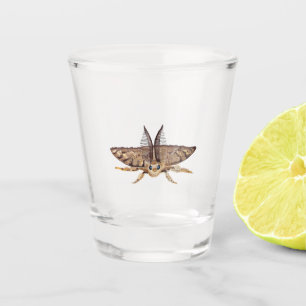 Gypsy moth, Lymantria dispar dispar Zoological  Shot Glass