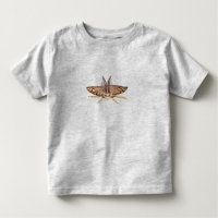 Gypsy moth, Lymantria dispar dispar Zoological