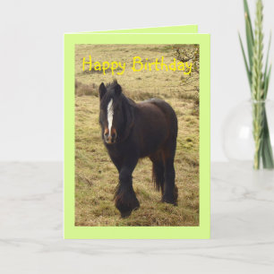 Gypsy pony Birthday card