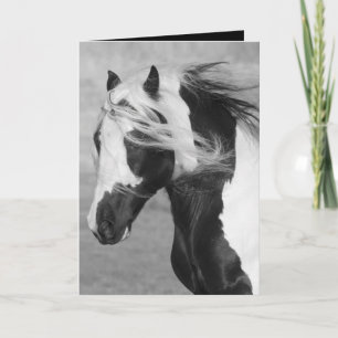 Gypsy Runs Horse Greeting Card