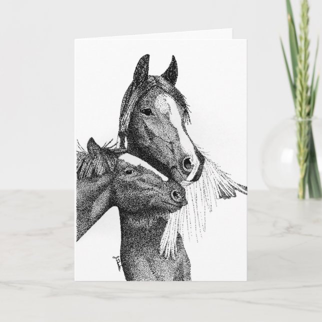 Gypsy Vanner Blank Greeting Card (Front)