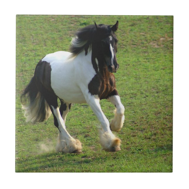 Gypsy Vanner Ceramic Tile (Front)