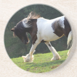 Gypsy Vanner Coaster