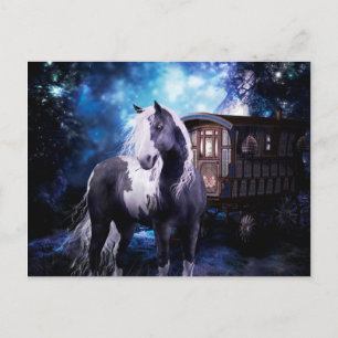 Gypsy Vanner Dreams Postcard