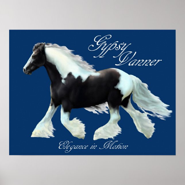 Gypsy Vanner horse , Elegance in motion Poster (Front)