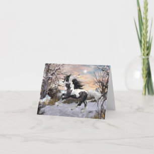 Gypsy Vanner Horse Holiday Card