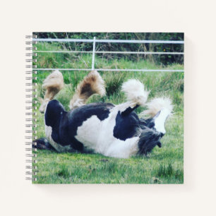 Gypsy vanner horse rolling in the grass notebook