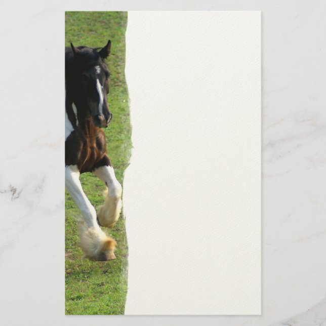 Gypsy Vanner Horse Stationery (Front)