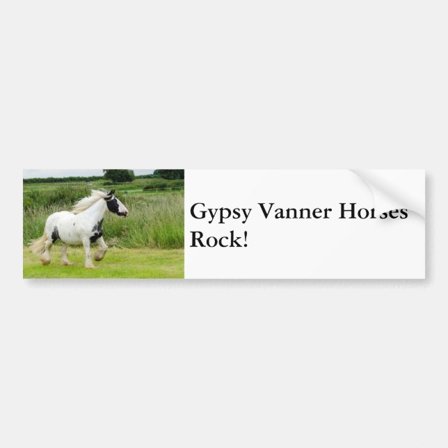 Gypsy Vanner horses Bumper Sticker (Front)