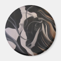 Gypsy Vanner I