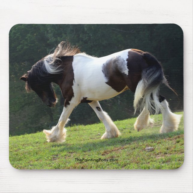 Gypsy Vanner Mouse Pad (Front)