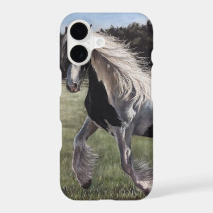 Gypsy vanner pinto horse running in field