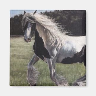 Gypsy vanner pinto horse running in field magnet