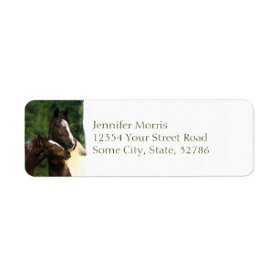 Gypsy Vanner Return Address Label