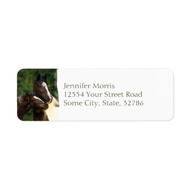 Gypsy Vanner Return Address Label (Front)