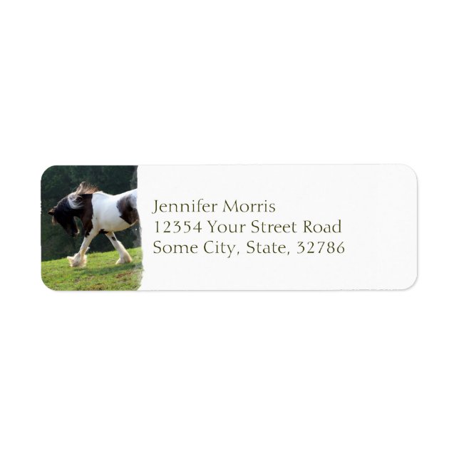 Gypsy Vanner Return Address Label (Front)