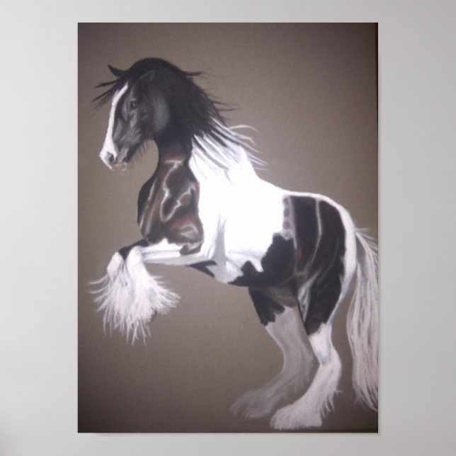 Gypsy vanner stallion poster (Front)
