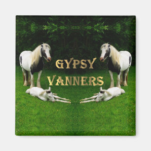 Gypsy Vanners Magnet