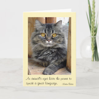 Gypsy's Eyes Thank You Card
