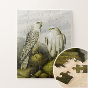 Gyr falcons on a rocky ledge, Bird Illustrations Jigsaw Puzzle