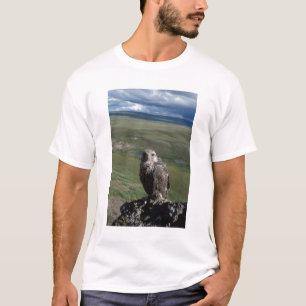 gyrfalcon, Falco rusticolus, juvenile T-Shirt