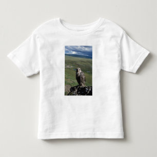 gyrfalcon, Falco rusticolus, juvenile Toddler T-Shirt