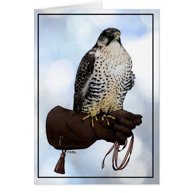 Gyrfalcon on Glove (Front)
