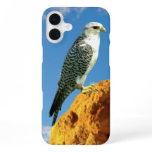 Gyrfalcon perched on a rock phone case