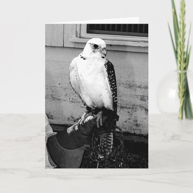 Gyrfalcon resting on handler's gauntlet notecard (Front)