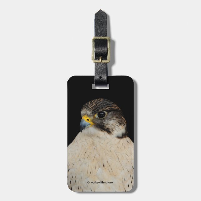 Gyrfalcon Saker Hybrid Falcon Luggage Tag (Front Vertical)
