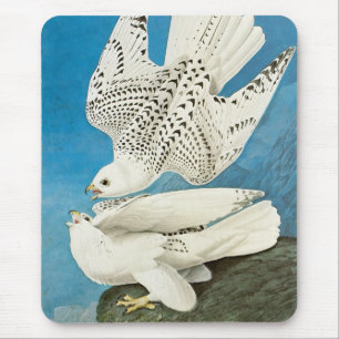 Gyrfalcons, aka Gerfalcons by John James Audubon Mouse Pad