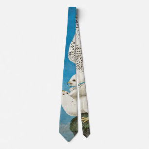 Gyrfalcons, aka Gerfalcons by John James Audubon Tie