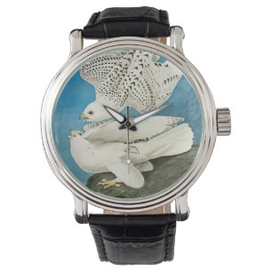 Gyrfalcons, aka Gerfalcons by John James Audubon Watch