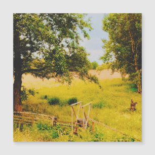 Gysinge Summer Field