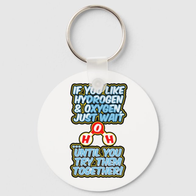 H2O frunny chemistry hydration water Key Ring (Front)