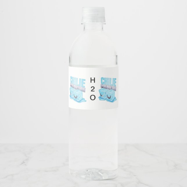 H2O WATER BOTTLE LABEL (Front)