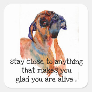 H2Ocolor Boxer+stay close to anything..glad alive Square Sticker