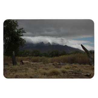 H.A.S. Arts magnet, image Bosque Magnet