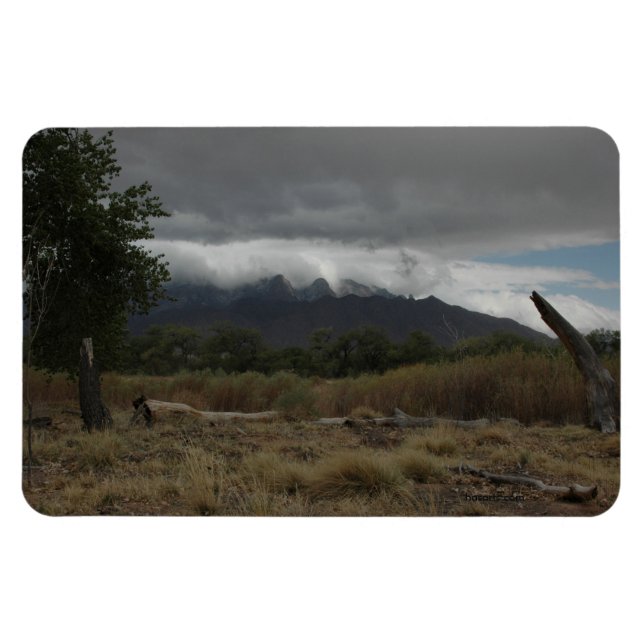 H.A.S. Arts magnet, image Bosque Magnet (Horizontal)