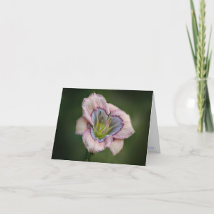 H. Heavenly Blues Note Card