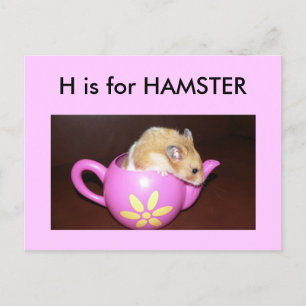 "H" is for Hamster Alphabet Flashcard Postcard