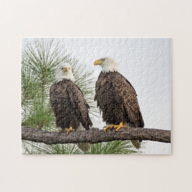 H&O Puzzle (Horizontal)