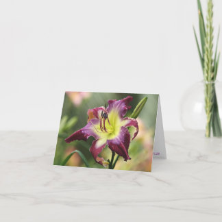 H. Violet Sabrewing Note Card