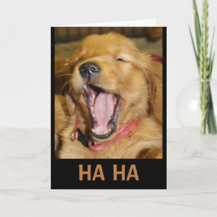 HA HA You're Older Than Me Laughing Puppy Card