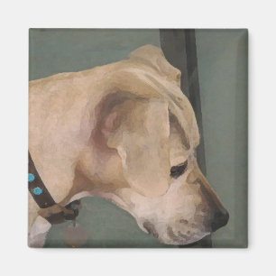HA- Where's the squirrel pup magnet