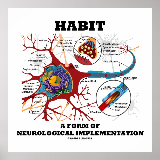 Habit A Form Of Neurological Implementation Neuron Poster (Front)